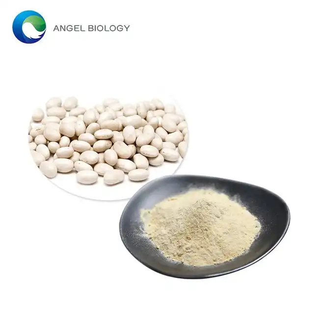 White Kidney Bean Extract Powder